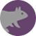 Font Squirrel