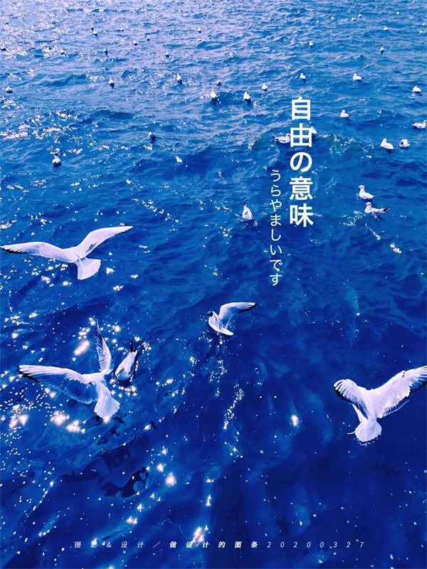 拍一张照片，就能设计成一幅海报！