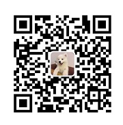 如何建立以数据为导向的设计体系？来看高手的总结！